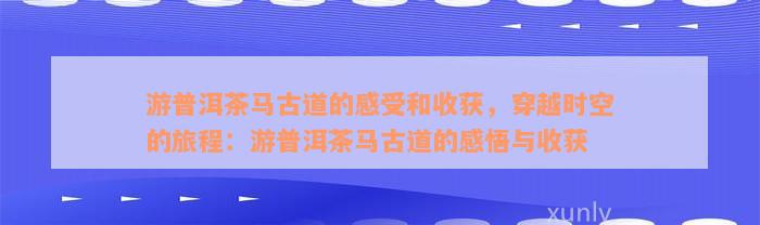 游普洱茶马古道的感受和收获，穿越时空的旅程：游普洱茶马古道的感悟与收获