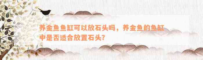 养金鱼鱼缸可以放石头吗，养金鱼的鱼缸中是否适合放置石头？