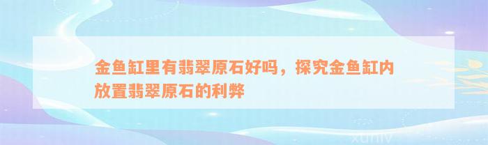 金鱼缸里有翡翠原石好吗，探究金鱼缸内放置翡翠原石的利弊