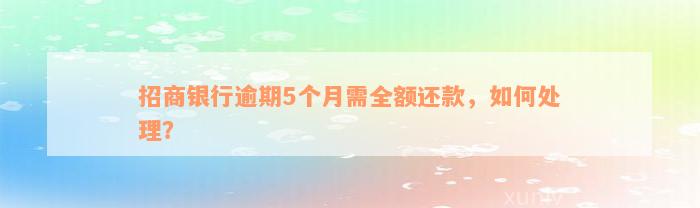 招商银行逾期5个月需全额还款，如何处理？