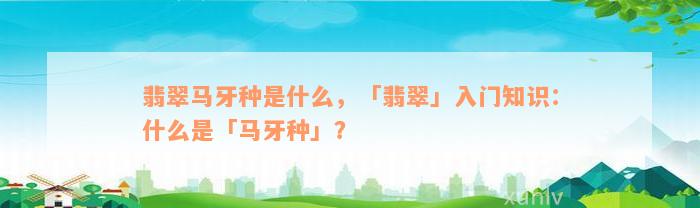 翡翠马牙种是什么，「翡翠」入门知识：什么是「马牙种」？