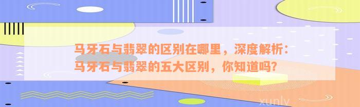 马牙石与翡翠的区别在哪里，深度解析：马牙石与翡翠的五大区别，你知道吗？