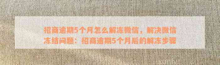 招商逾期5个月怎么解冻微信，解决微信冻结问题：招商逾期5个月后的解冻步骤