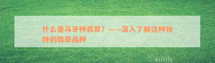 什么是马牙种翡翠？——深入了解这种独特的翡翠品种