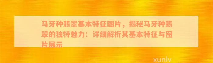 马牙种翡翠基本特征图片，揭秘马牙种翡翠的独特魅力：详细解析其基本特征与图片展示