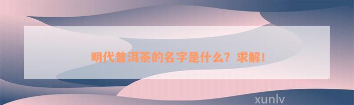 明代普洱茶的名字是什么？求解！