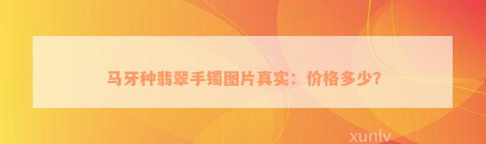 马牙种翡翠手镯图片真实：价格多少？