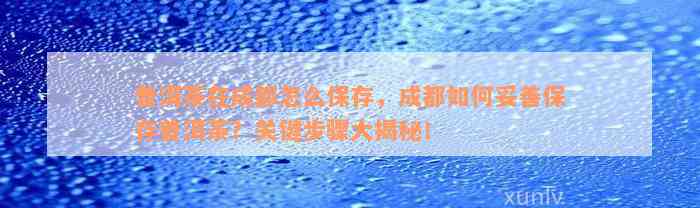 普洱茶在成都怎么保存，成都如何妥善保存普洱茶？关键步骤大揭秘！