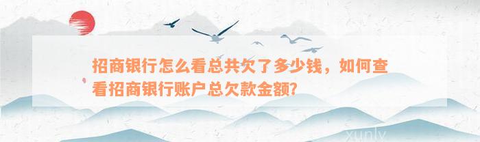 招商银行怎么看总共欠了多少钱，如何查看招商银行账户总欠款金额？