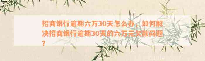 招商银行逾期六万30天怎么办，如何解决招商银行逾期30天的六万元欠款问题？