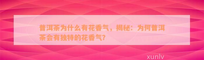 普洱茶为什么有花香气，揭秘：为何普洱茶会有独特的花香气？