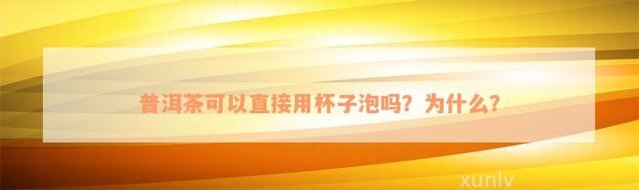 普洱茶可以直接用杯子泡吗？为什么？