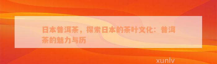 日本普洱茶，探索日本的茶叶文化：普洱茶的魅力与历