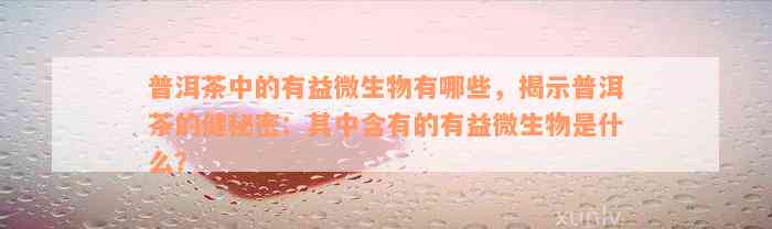 普洱茶中的有益微生物有哪些，揭示普洱茶的健秘密：其中含有的有益微生物是什么？