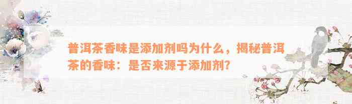 普洱茶香味是添加剂吗为什么，揭秘普洱茶的香味：是否来源于添加剂？