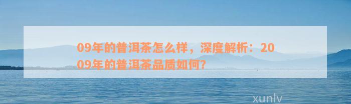 09年的普洱茶怎么样，深度解析：2009年的普洱茶品质如何？