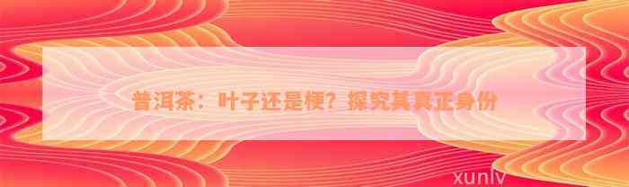 普洱茶：叶子还是梗？探究其真正身份