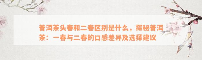 普洱茶头春和二春区别是什么，探秘普洱茶：一春与二春的口感差异及选择建议