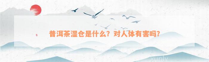 普洱茶湿仓是什么？对人体有害吗？