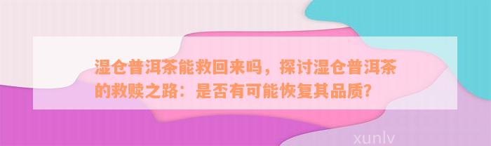 湿仓普洱茶能救回来吗，探讨湿仓普洱茶的救赎之路：是否有可能恢复其品质？