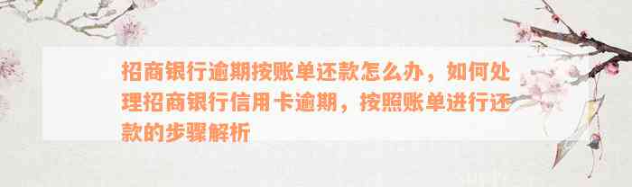 招商银行逾期按账单还款怎么办，如何处理招商银行信用卡逾期，按照账单进行还款的步骤解析