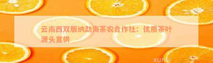 云南西双版纳勐海茶农合作社：优质茶叶源头直供