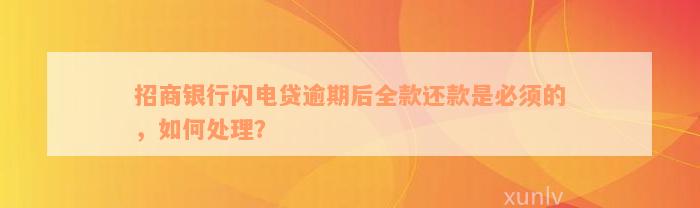 招商银行闪电贷逾期后全款还款是必须的，如何处理？