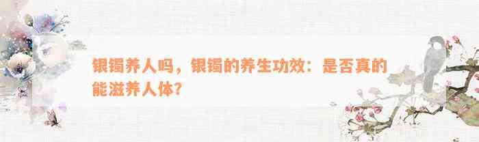 银镯养人吗，银镯的养生功效：是否真的能滋养人体？