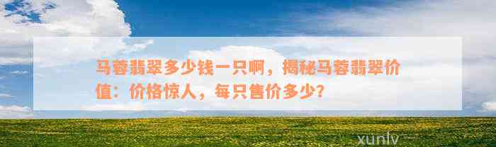 马蓉翡翠多少钱一只啊，揭秘马蓉翡翠价值：价格惊人，每只售价多少？