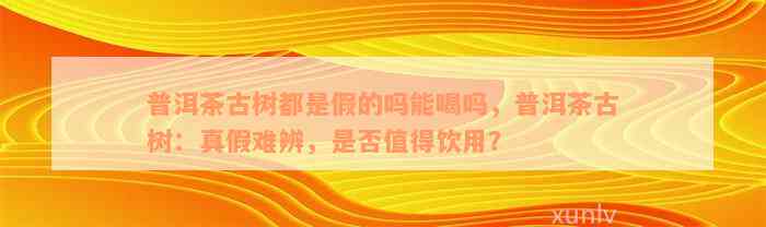 普洱茶古树都是假的吗能喝吗，普洱茶古树：真假难辨，是否值得饮用？