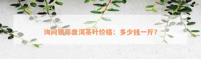 询问银芽普洱茶叶价格：多少钱一斤？