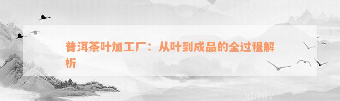 普洱茶叶加工厂：从叶到成品的全过程解析