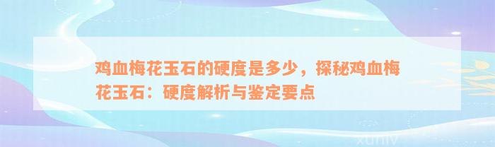 鸡血梅花玉石的硬度是多少，探秘鸡血梅花玉石：硬度解析与鉴定要点