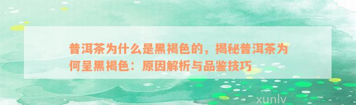 普洱茶为什么是黑褐色的，揭秘普洱茶为何呈黑褐色：原因解析与品鉴技巧