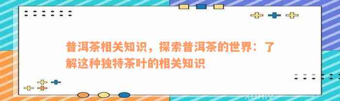 普洱茶相关知识，探索普洱茶的世界：了解这种独特茶叶的相关知识