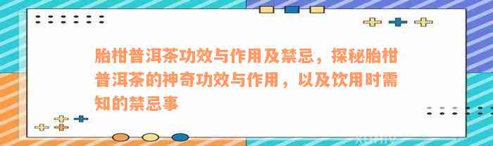 胎柑普洱茶功效与作用及禁忌，探秘胎柑普洱茶的神奇功效与作用，以及饮用时需知的禁忌事