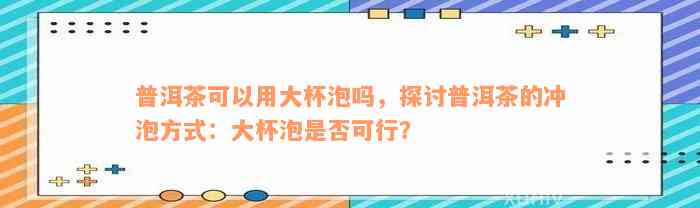 普洱茶可以用大杯泡吗，探讨普洱茶的冲泡方式：大杯泡是否可行？