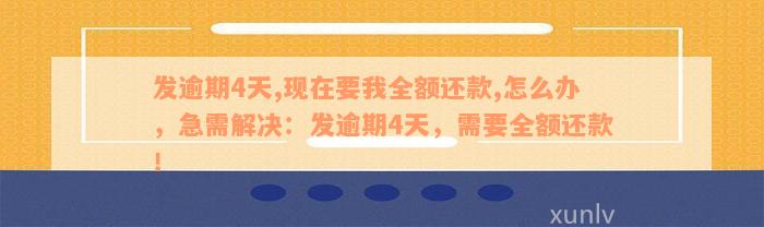 发逾期4天,现在要我全额还款,怎么办，急需解决：发逾期4天，需要全额还款！