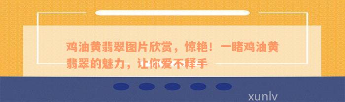 鸡油黄翡翠图片欣赏，惊艳！一睹鸡油黄翡翠的魅力，让你爱不释手