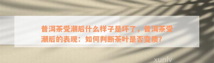 普洱茶受潮后什么样子是坏了，普洱茶受潮后的表现：如何判断茶叶是否变质？