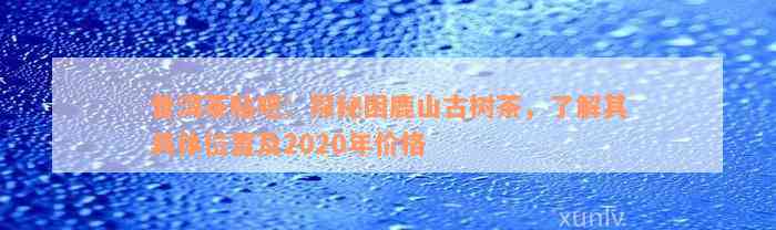 普洱茶贴吧：探秘困鹿山古树茶，了解其具体位置及2020年价格