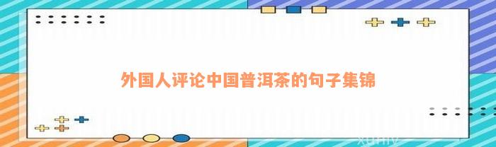 外国人评论中国普洱茶的句子集锦