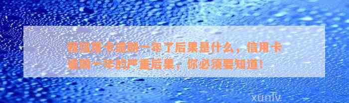 我信用卡逾期一年了后果是什么，信用卡逾期一年的严重后果，你必须要知道！