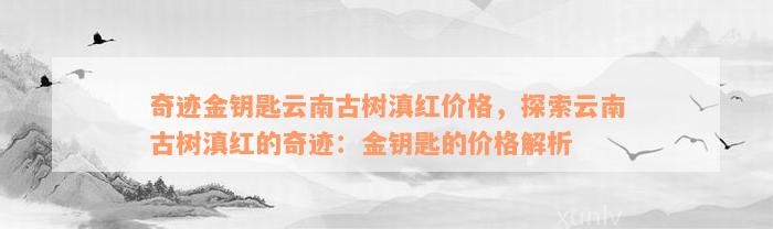 奇迹金钥匙云南古树滇红价格，探索云南古树滇红的奇迹：金钥匙的价格解析