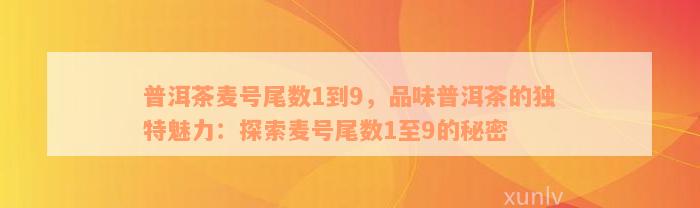 普洱茶麦号尾数1到9，品味普洱茶的独特魅力：探索麦号尾数1至9的秘密