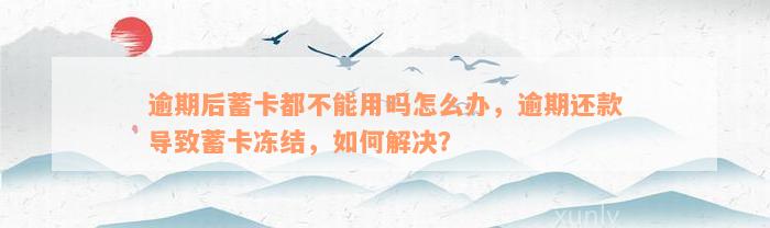 逾期后蓄卡都不能用吗怎么办，逾期还款导致蓄卡冻结，如何解决？