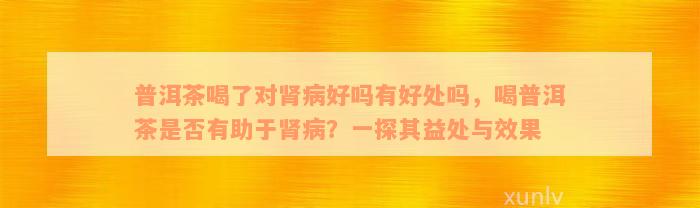 普洱茶喝了对肾病好吗有好处吗，喝普洱茶是否有助于肾病？一探其益处与效果