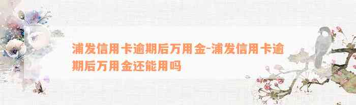 浦发信用卡逾期后万用金-浦发信用卡逾期后万用金还能用吗