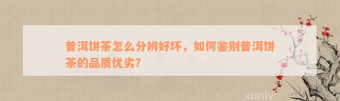 普洱饼茶怎么分辨好坏，如何鉴别普洱饼茶的品质优劣？