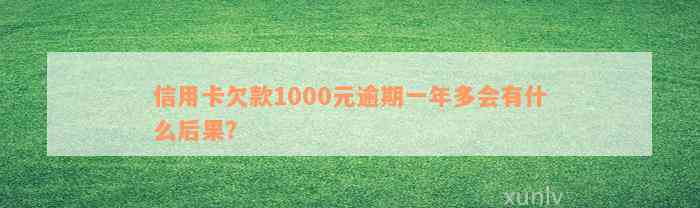 信用卡欠款1000元逾期一年多会有什么后果？